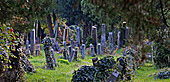 Vienna, Zentralfriedhof, Alter Jdischer Friedhof, Photo Nr.: W5208