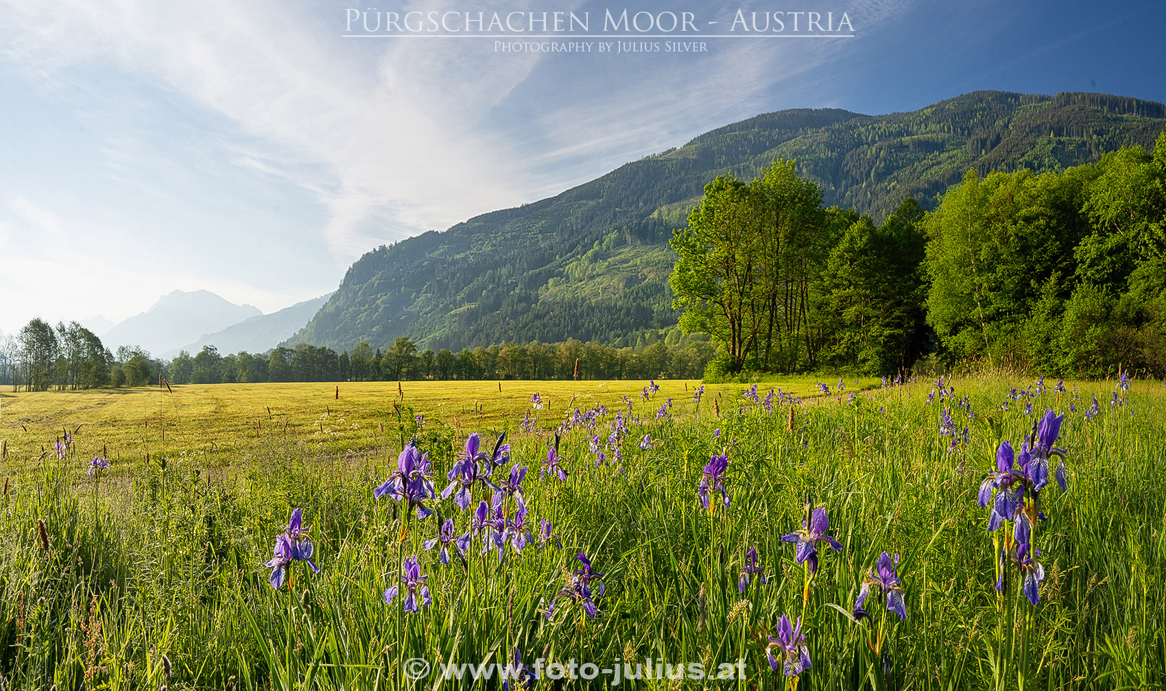 2689a_Gesause_Ardning_Purgschachen_Moor.jpg, 996kB