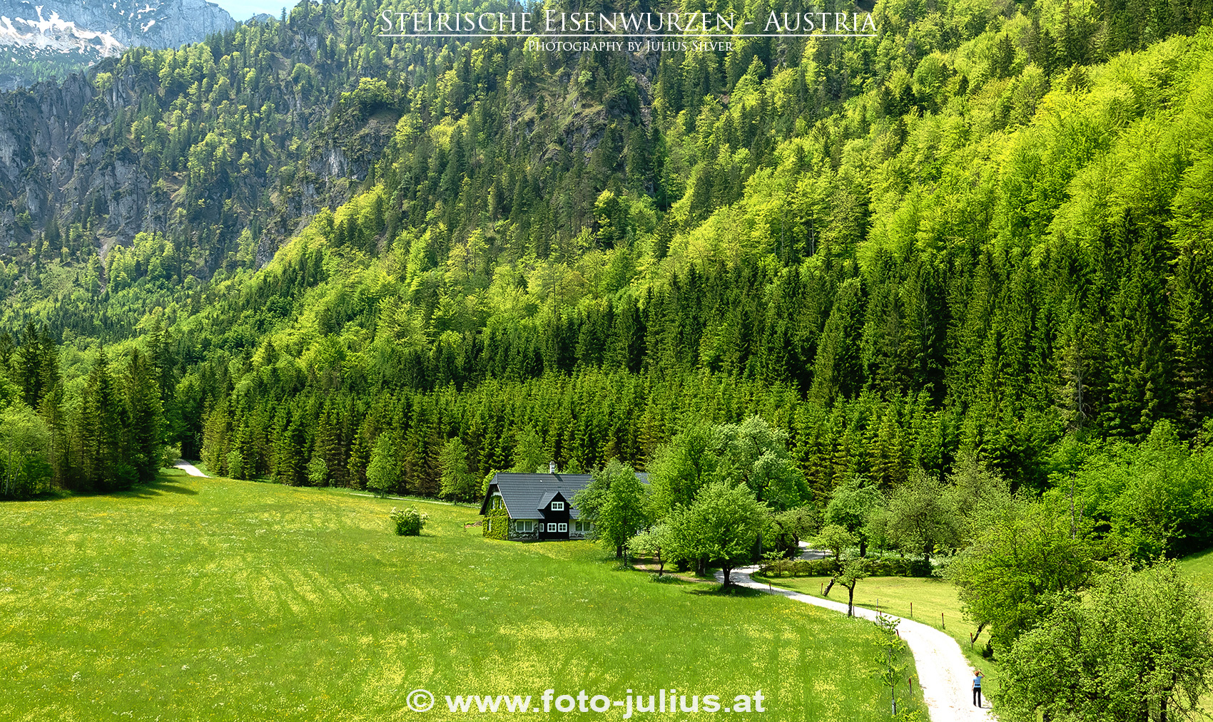 2708a_Steirische_Eisenwurzen_Erb.jpg, 1,6MB