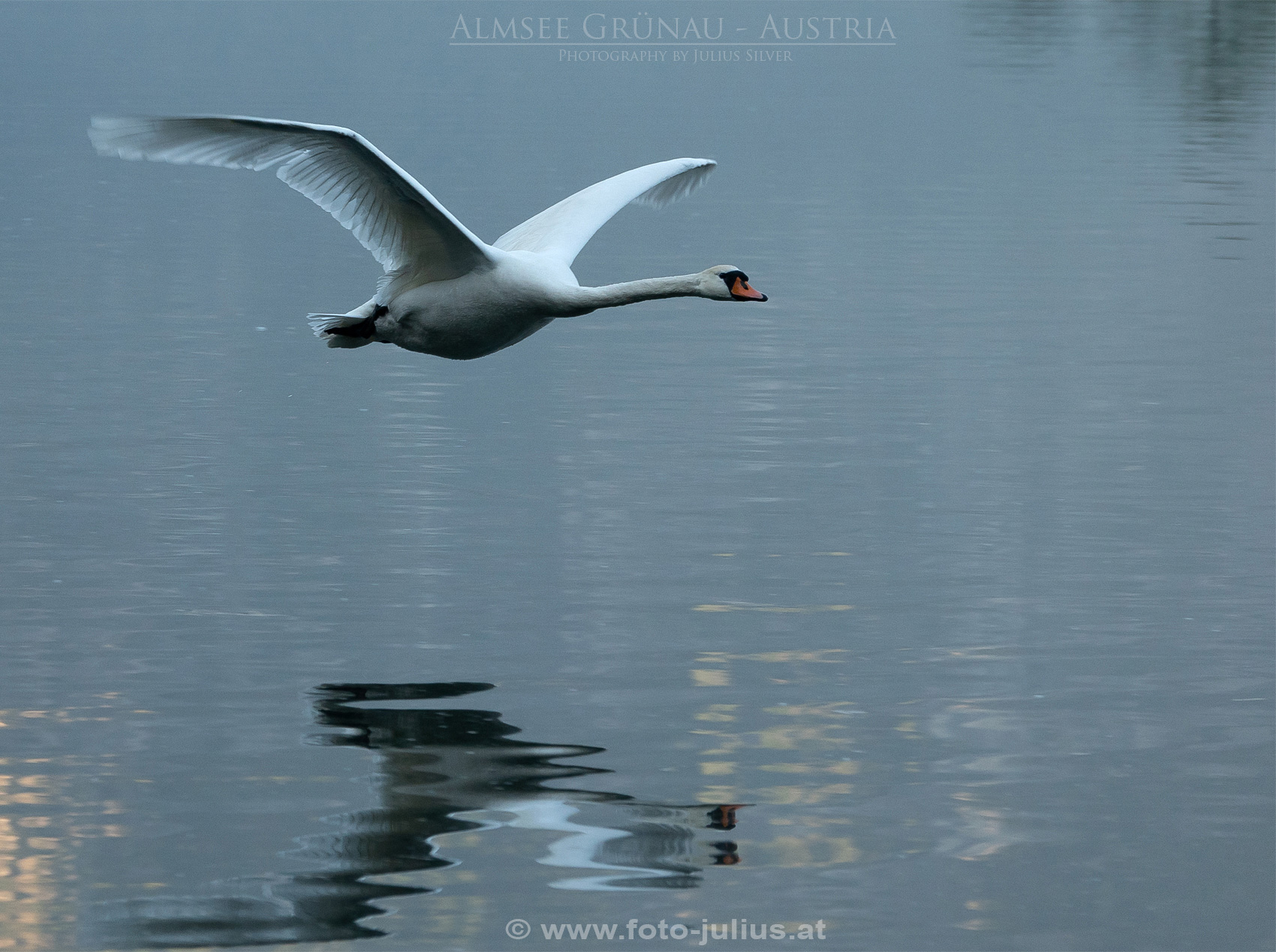 2742a_Almsee_Grunau_Oberosterreich.jpg, 642kB