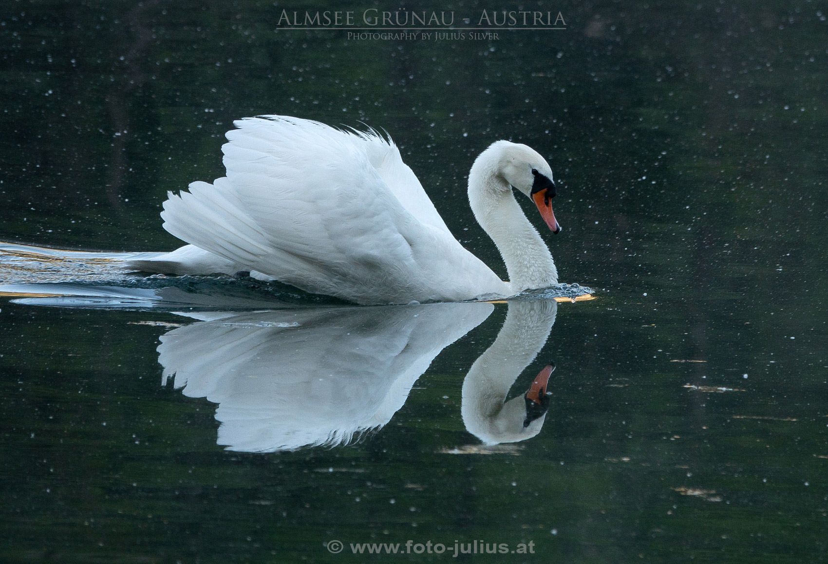 2746a_Almsee_Grunau_Oberosterreich.jpg, 512kB