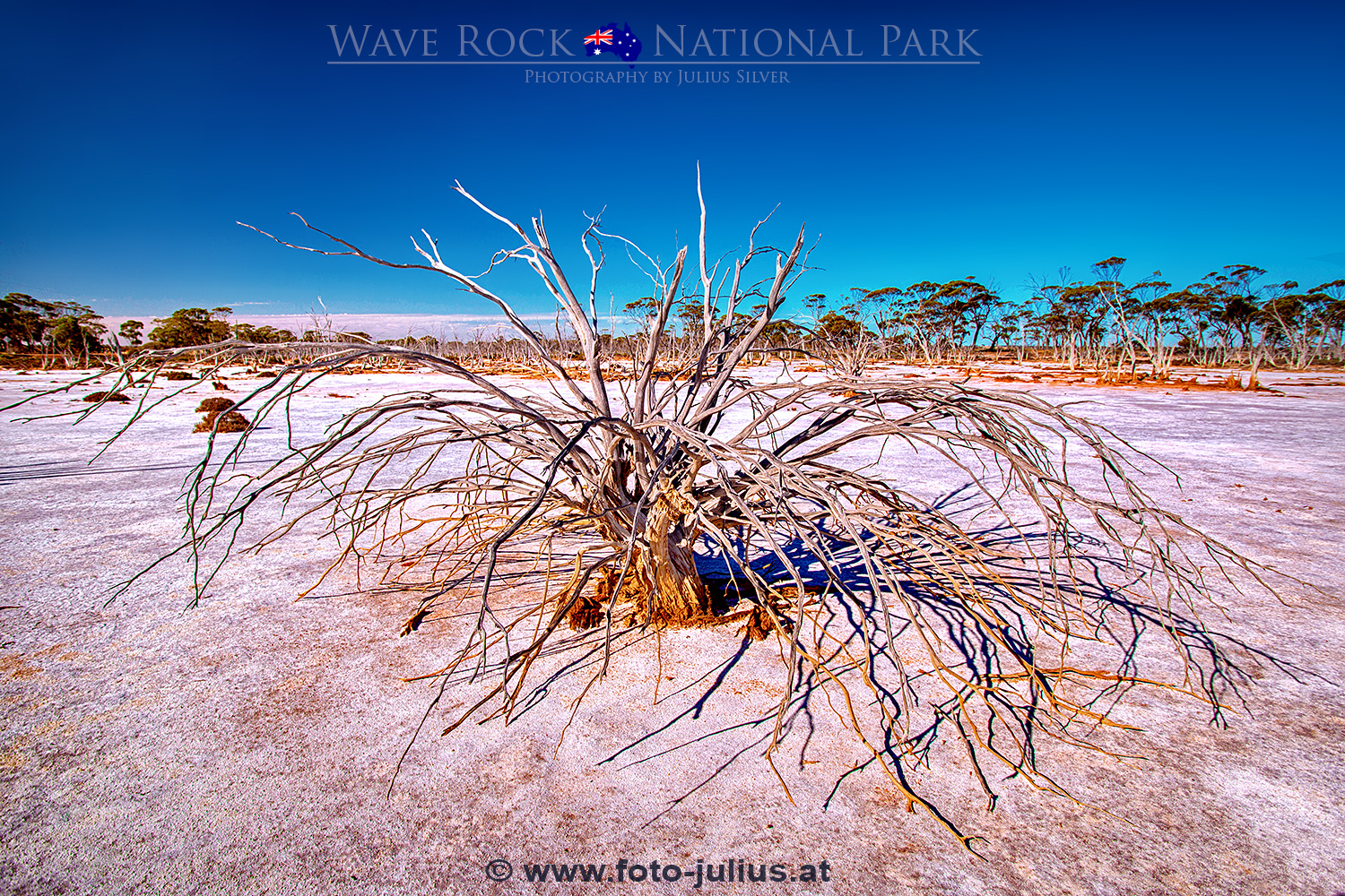 Australia_184a_Wave_Rock_National_Park.jpg, 1,3MB