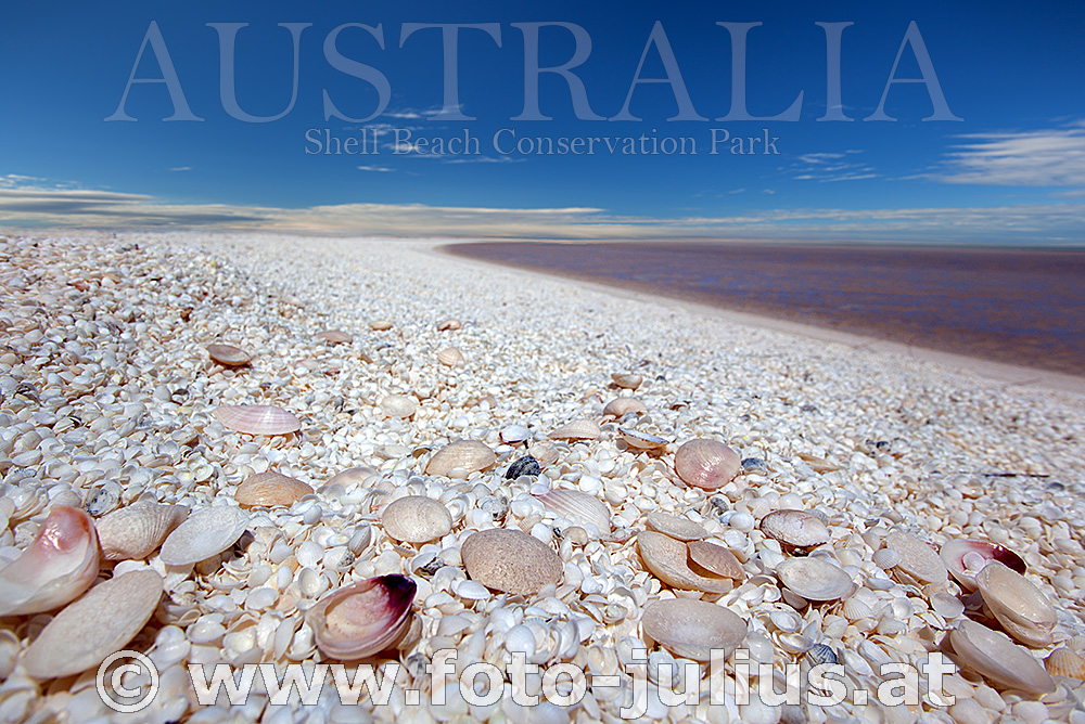 Australia_192+Shell_Beach.jpg, 379kB