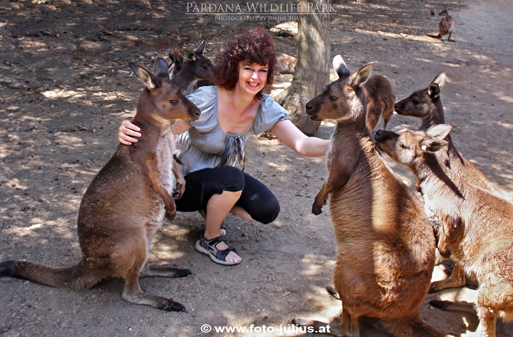 Australia_284a_Parndana_Wildlife_Park.jpg, 748kB
