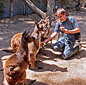 Australia_322_Kangaroo_Island.jpg, 33kB