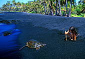 Hawaii, Big Island, Punaluu Beach Park, (Black Sand Beach), Photo Nr.: haw051