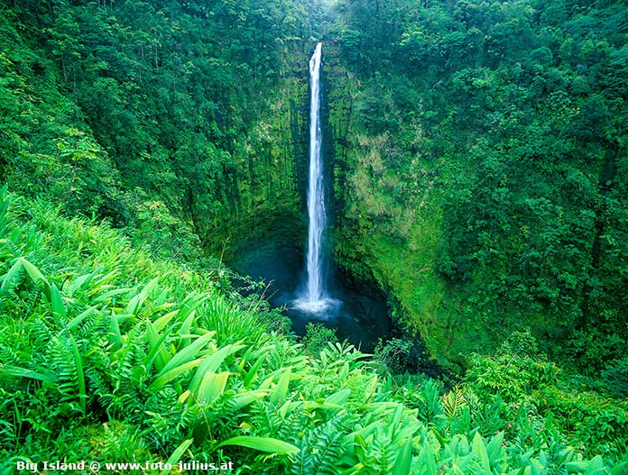 haw102b_Hawaii_Big_Island_Akaka_Falls_State_Park.jpg, 122kB
