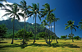 Hawaii, Island Oahu, Kualoa Park, Photo Nr.: haw167