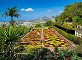 Madeira_127_Botanical_Garden.jpg, 18kB