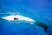 NewZealand123_Fox_Glacier.jpg, 16kB
