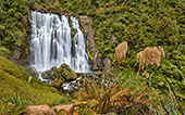 NewZealand271_Marokopa Falls.jpg, 27kB