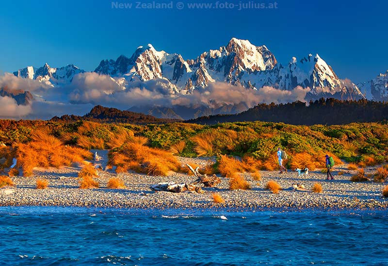 New_Zealand_329_Westland_National_Park.jpg, 107kB