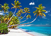 018_Polynesien_Suedsee_Palmenstrand_Fakarava.jpg, 23kB