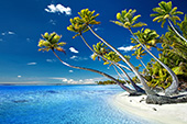 103_Beautifuldestination_Polynesia_Palmbeach.jpg, 20kB