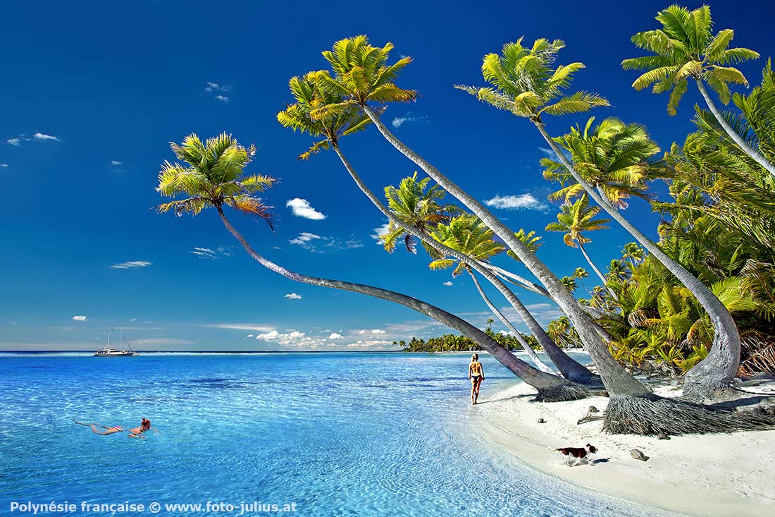103b_Paradise_Beautifuldestination_French_Polynesia_Palmbeach_Tahiti.jpg, 306kB