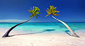 320_Palmtrees_Beach_Palmenstrand_Polynesien_Suedsee.jpg, 12kB