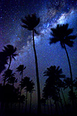tahiti137_Milky_Way_Fakarava_Atoll_Southern_Hemisphere.jpg, 16kB
