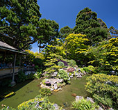234_Japanese_Tea_Garden_San_Francisco.jpg, 20kB