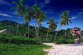 Seychelles, (Seychellen), Island La Digue, Photo Nr: sey0003