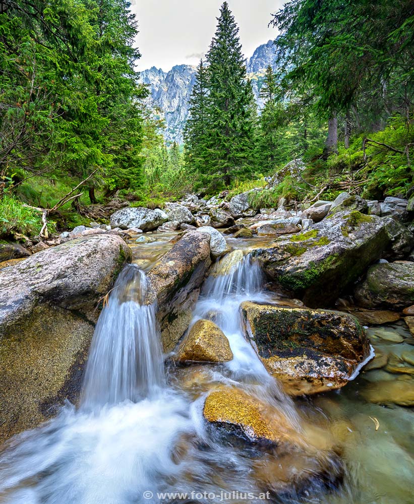 slovakia_209b_Tatra_National_Park_Vysoke_Tatry.jpg, 227kB