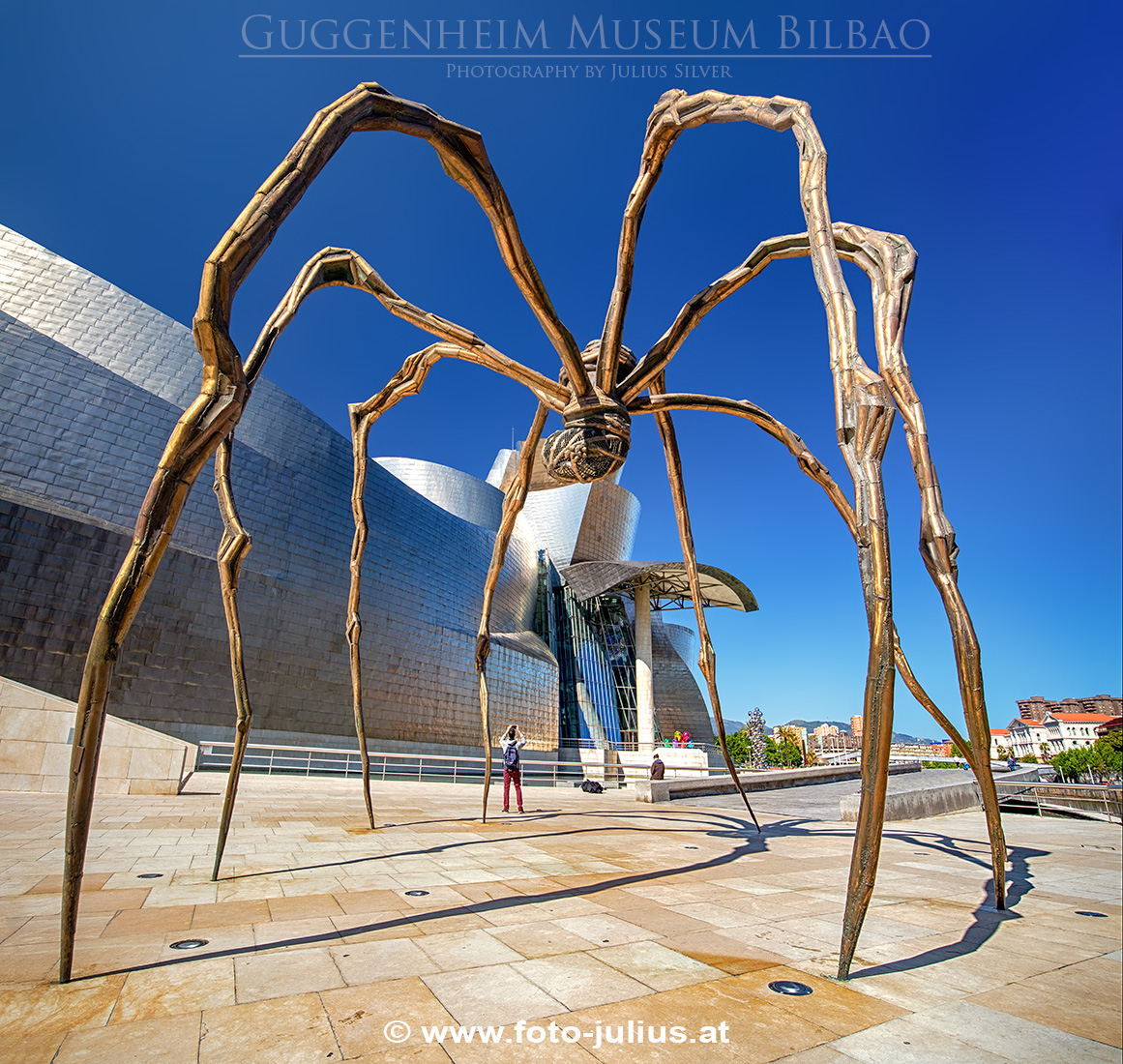 237a_Guggenheim_Bilbao_Museoa.jpg, 586kB
