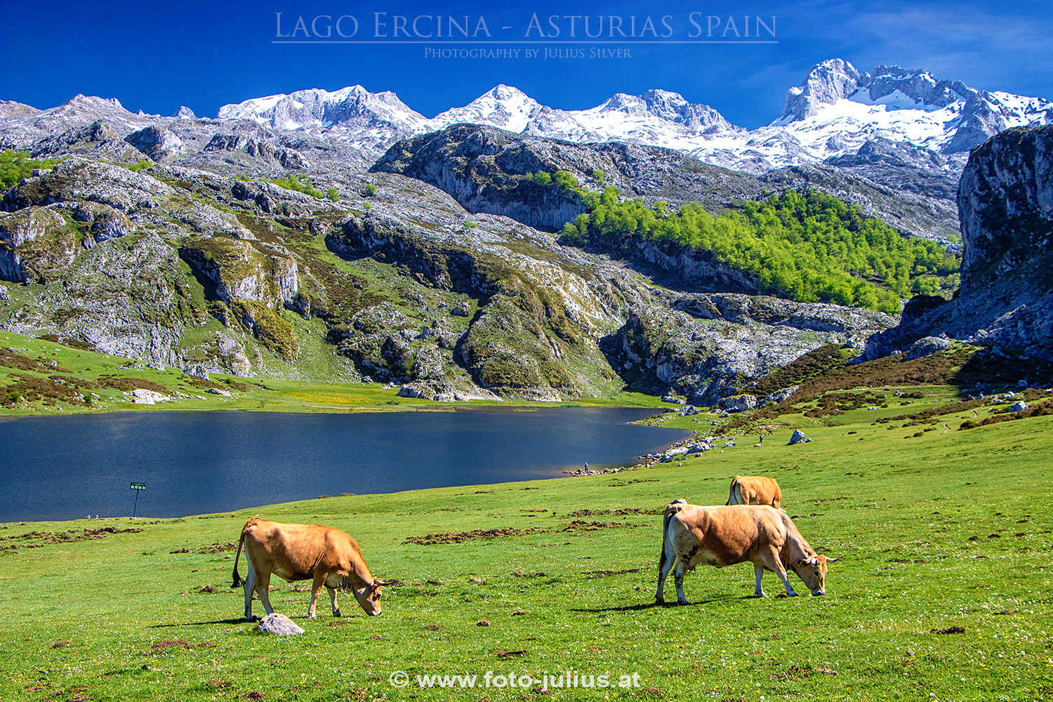 305a_Lago_Ercina.jpg, 1001kB