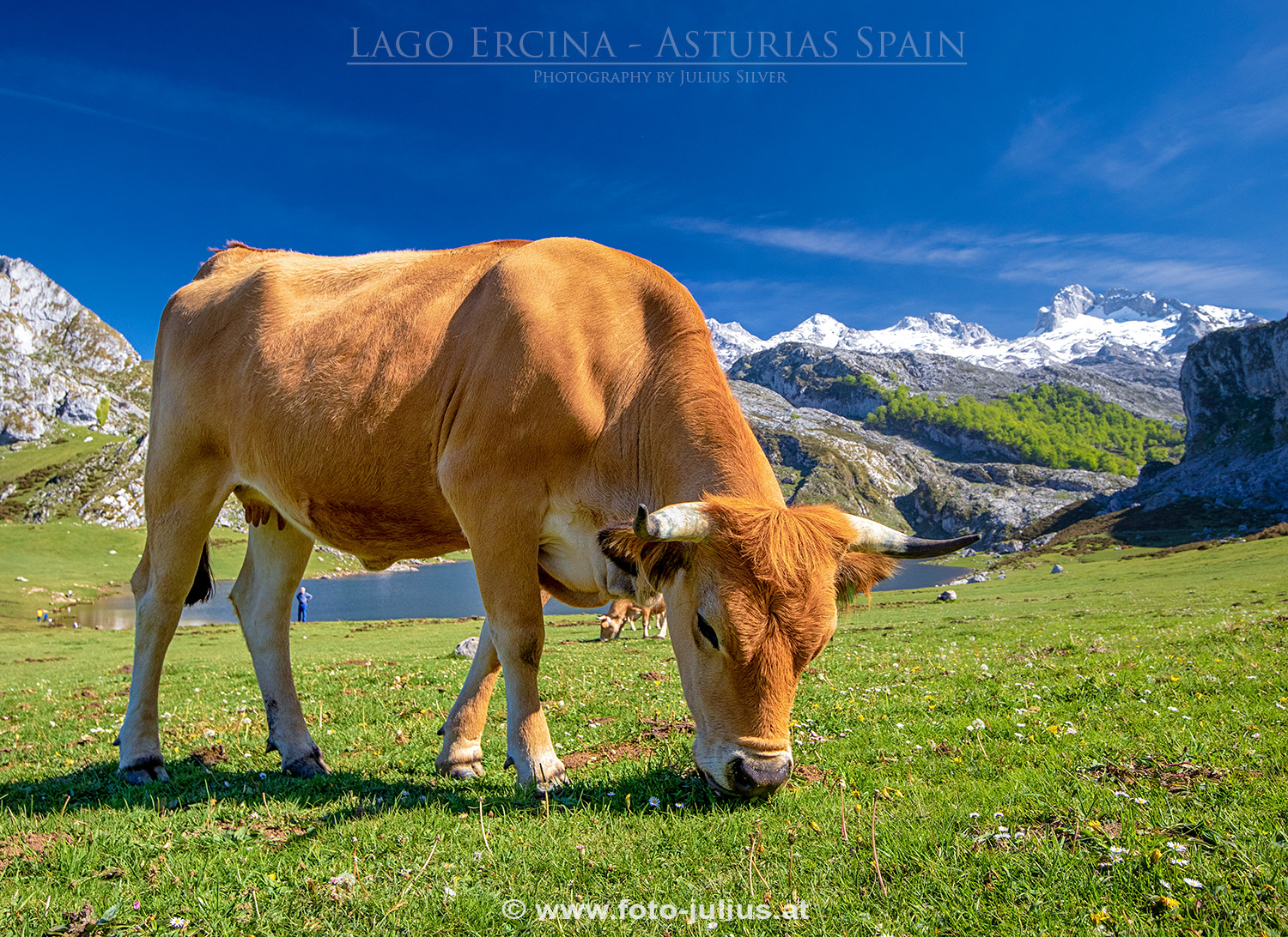 307a_Lago_Ercina.jpg, 790kB