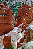 Bryce Canyon National Park, Utah, USA, Photo Nr.: usa027