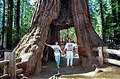 Sequoia Nationalpark, Sierra Nevada, California, USA, Photo Nr.: usa032