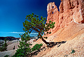 Bryce Canyon National Park, Utah, USA, Photo Nr.: usa034
