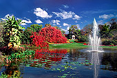 Cypress Gardens, Florida, USA, Photo Nr.: usa052