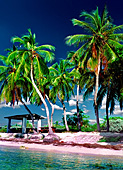 Bahia Honda Key State Park, Florida, USA, Photo Nr.: usa102