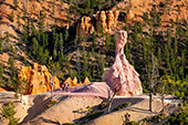 630_Bryce_Canyon_National_Park.jpg, 17kB