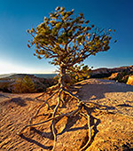 644_Bryce_Canyon_National_Park.jpg, 21kB
