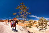 647_Bryce_Canyon_National_Park.jpg, 11kB