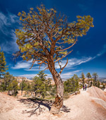 649_Bryce_Canyon_National_Park.jpg, 18kB
