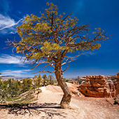 662_Bryce_Canyon_National_Park.jpg, 21kB