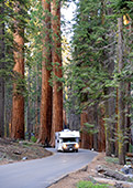 915_Sequoia_National_Park.jpg, 15kB