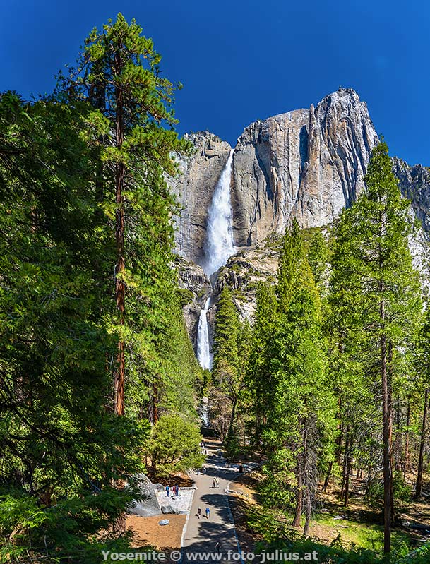 938_Yosemite_National_Park.jpg, 313kB