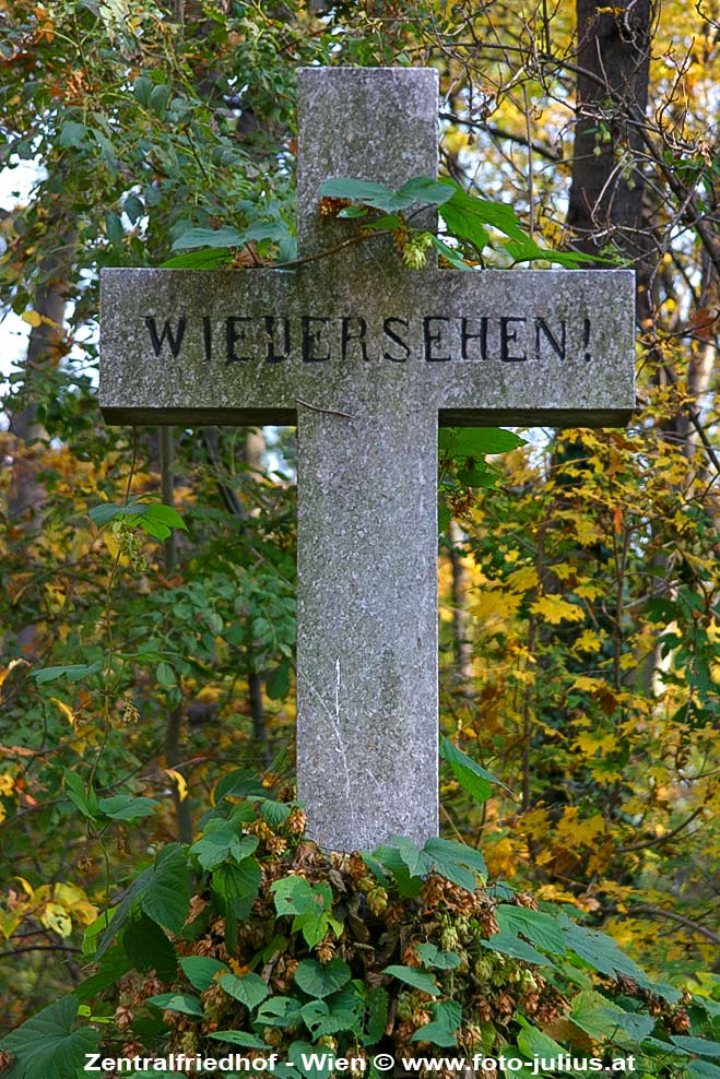 W1438b_Zentralfriedhof_Wien.jpg, 169kB