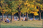 Vienna, Steinhofgründe, Steinhof, Erholungspark, Photo Nr.: W3831