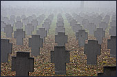 Vienna, Zentralfriedhof, Soldatenfriedhof, Photo Nr.: W4004