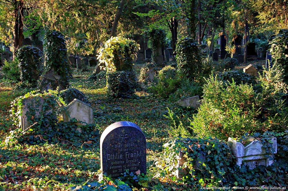 W5218b_Wien_Alter_juedischer_Friedhof.jpg, 280kB
