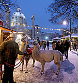Vienna, Karlskirche im Winter, Adventmarkt Christkindlmarkt, Photo Nr.: W5324