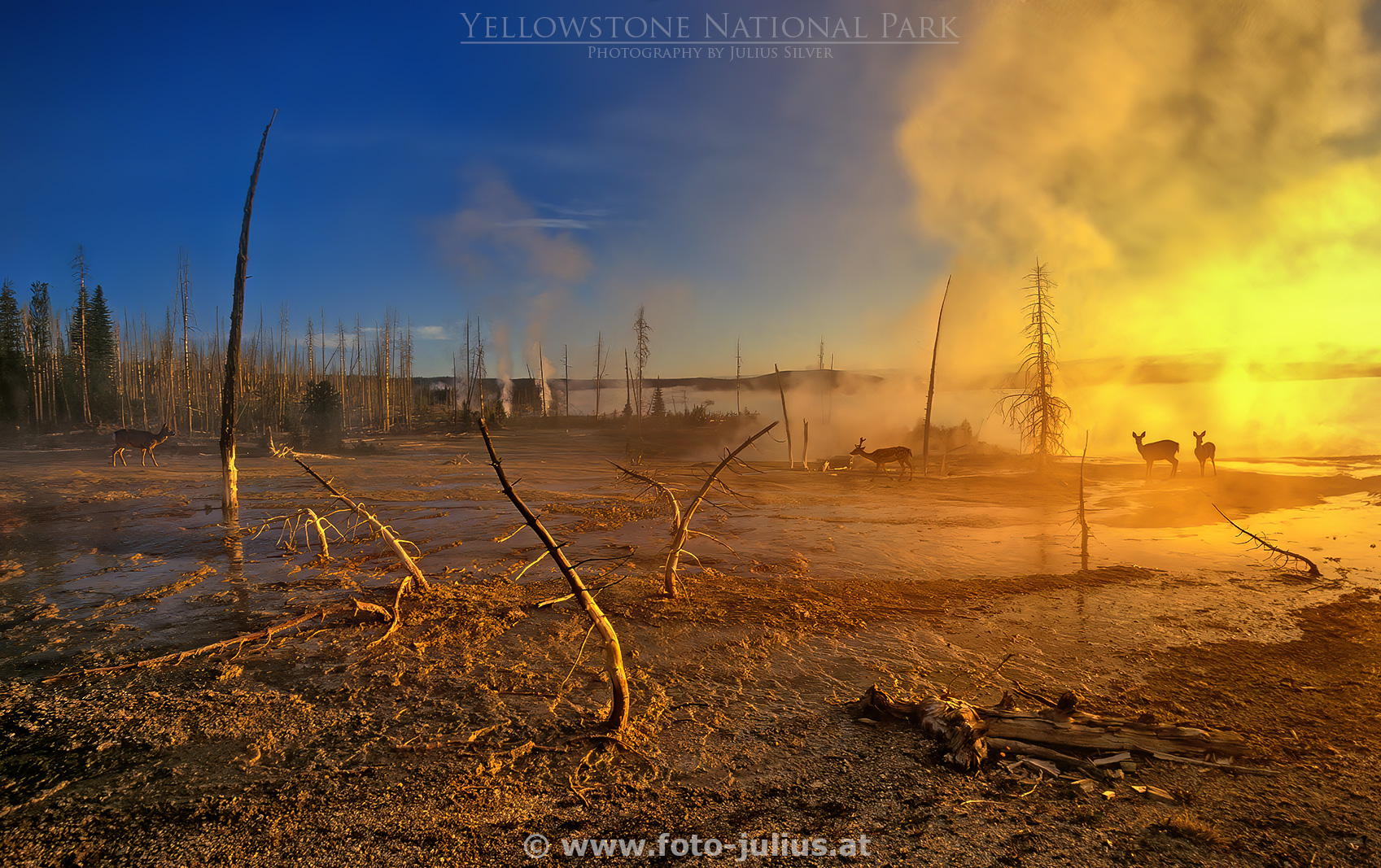 y004a_West_Thumb_Basin_Yellowstone.jpg, 986kB