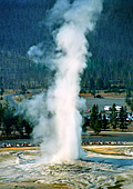 Yellowstone National Park, Photo Nr.: y019