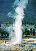 y019_Old_Faithful_Geyser_Yellowstone.jpg, 37kB