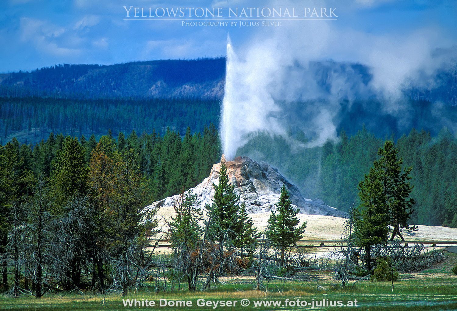 y022a_White_Dome_Geyser_Yellowstone.jpg, 749kB