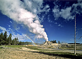 Yellowstone National Park, Castle Geyser, Photo Nr.: y049