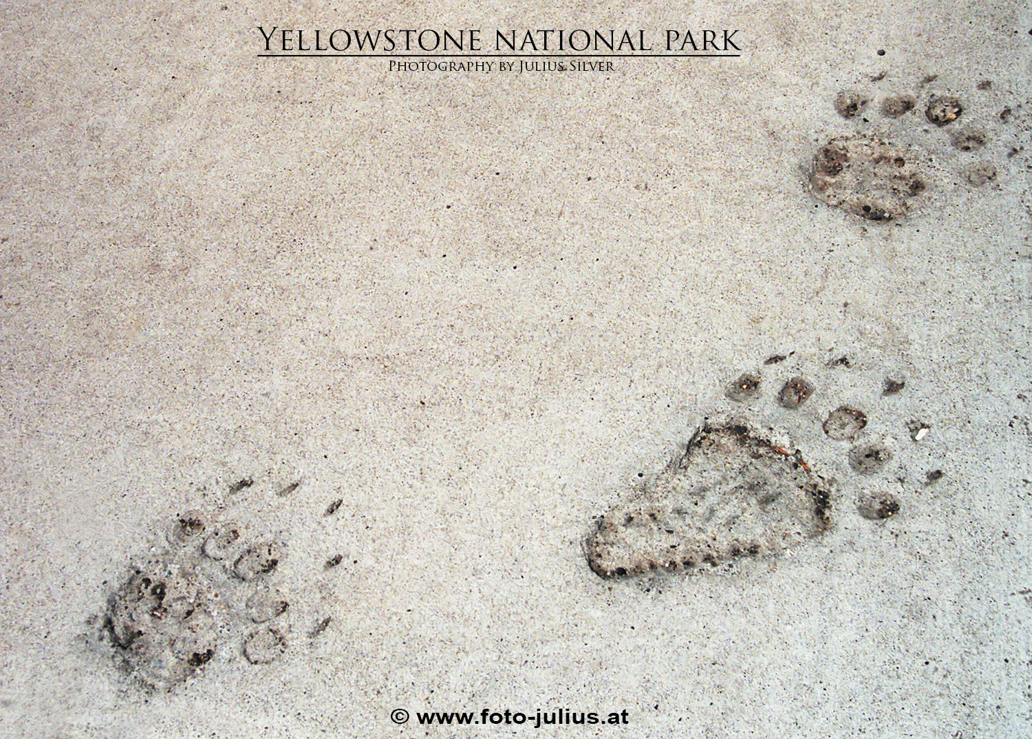 y059a_Yellowstone.jpg, 920kB